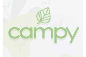 campy