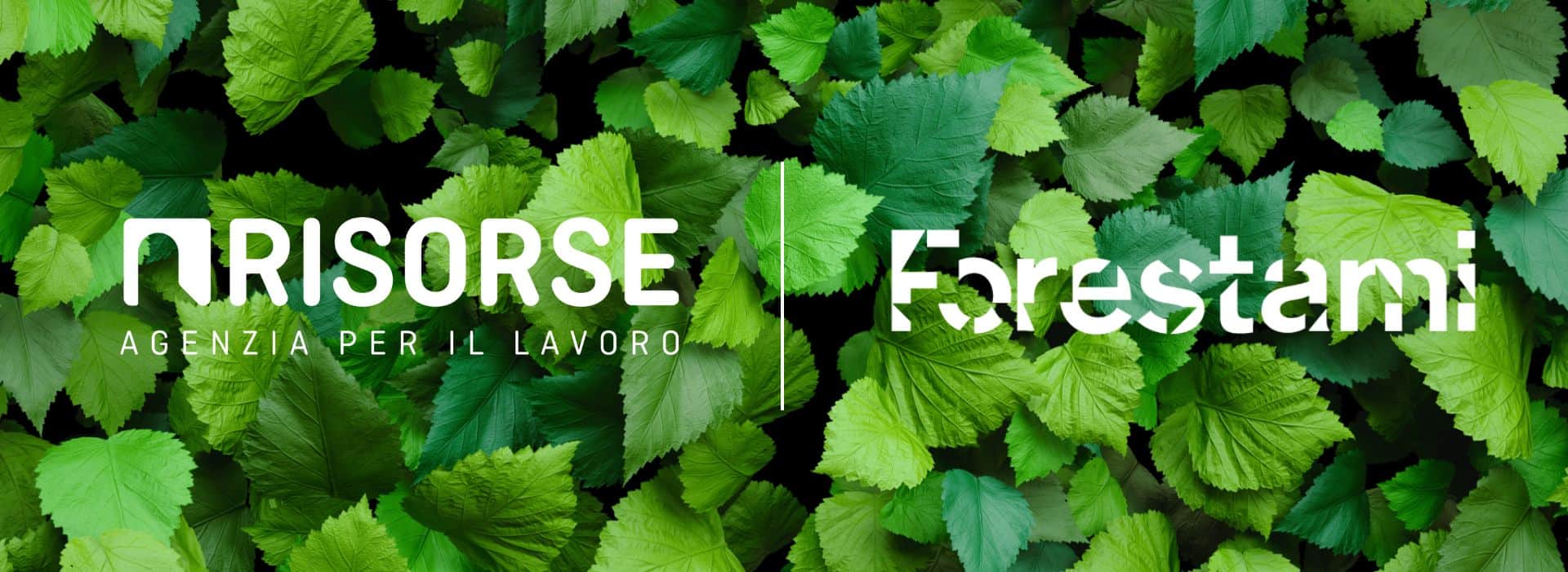 partnership-risorse-forestami