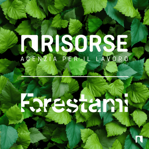 progetto-forestami